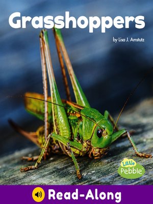 cover image of Grasshoppers